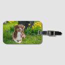 Recherche de compagnon animaux Animal