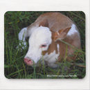 Recherche de veau vache tapis souris Ranch