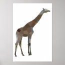 Recherche de modèle de patchwork Animaux