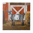 Recherche de chèvre carreaux Animaux de ferme