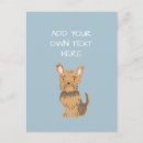 Recherche de yorkshire terrier chien cartes postales Dog