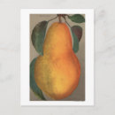 Recherche de chromo cartes postales Presse