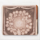 Recherche de venus tapis souris Planète