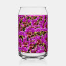 Recherche de magenta chopes Floraison