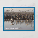 Recherche de oiseau migrateur cartes postales Oiseaux