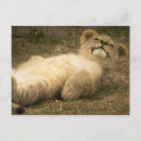 Recherche de santé cartes postales Mignon