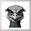 Recherche de émeu posters Animal