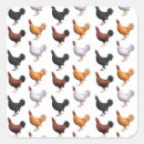 Recherche de coq noir autocollants Orange