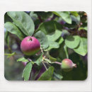 Recherche de apple tapis souris Anniversaire