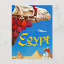 Recherche de sept merveilles du monde posters Chameau