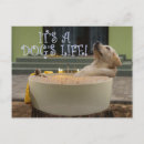 Recherche de bébé drôle cartes postales Chien