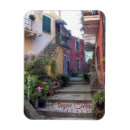 Recherche de terre magnets L'europe