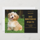 Recherche de de de chien anniversaire invitations Animal de compagnie