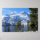 Recherche de chaînes posters Nature