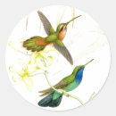 Recherche de de colibri autocollants Jardin