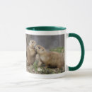 Recherche de chien de prairie tasses Marmotte