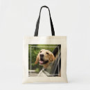 Recherche de labrador retriever sacs Cute