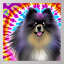 Recherche de chien pomeranian posters Animal