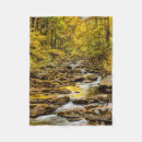 Recherche de blue ridge mountains Chute