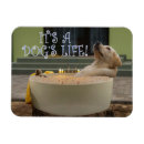 Recherche de chiot drôle magnets Amoureux des chiens