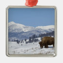 Recherche de yellowstone ornements Buffle