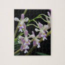 Recherche de orchidée blanche puzzles Violet