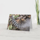 Recherche de dinde noël cartes Vacances