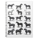 Recherche de equestrian Dressage