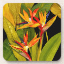 Recherche de oiseau dessous de verres Fleur