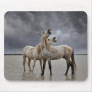 Recherche de camargue tapis souris Cheval