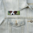 Recherche de border collie bureau fournitures Colley