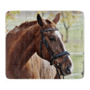 Recherche de cheval planches à découper Ranch