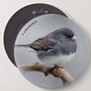 Recherche de ardoise badges Oiseau