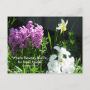 Recherche de jacinthe des bois cartes postales Fleurs