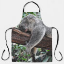 Recherche de koala tabliers Faune