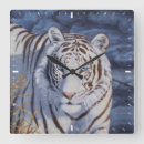 Recherche de yeux bleus horloges Faune