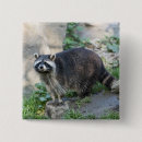 Recherche de mammifères badges Animal
