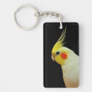 Recherche de cockatiel porteclés Mignon