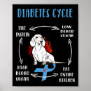 Recherche de cycle vie posters Guerrier du diabète