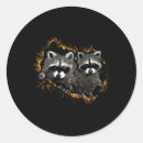 Recherche de habitat autocollants Caractéristiques du raccoon