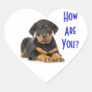 Recherche de rotweiller autocollants Pour tous