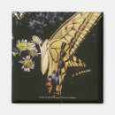 Recherche de de papillon de machaon refrigérateur magnets Nature