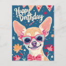 Recherche de chihuahua Joyeux anniversaire