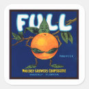 Recherche de fruits oranges autocollants Vintage