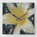 Recherche de lis horloges Jaune