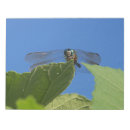 Recherche de libellules blocsnotes Nature