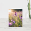 Recherche de rêveuse correspondances cartes Nature