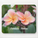 Recherche de fleur hawaïenne tapis souris Plante