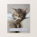Recherche de humour de chat puzzles Chaton