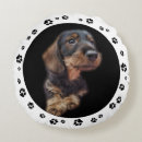 Recherche de patte coussins Dogs